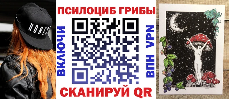 Псилоцибиновые грибы Cubensis Чехов